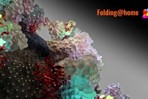 SARS-CoV-2 Visualization